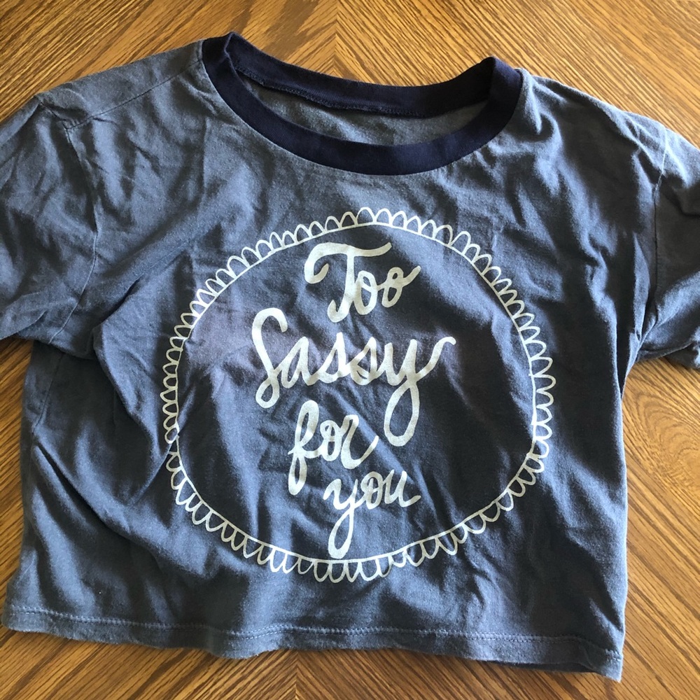 Brandy Melville Crop Top